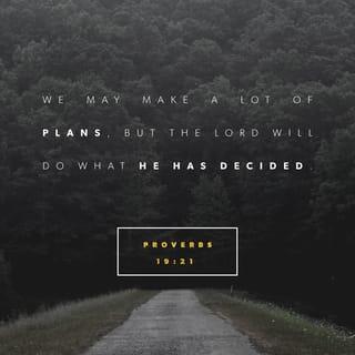 Proverbs 19:20-21 - Listen to advice and accept discipline,
and at the end you will be counted among the wise.

Many are the plans in a person’s heart,
but it is the LORD’s purpose that prevails.