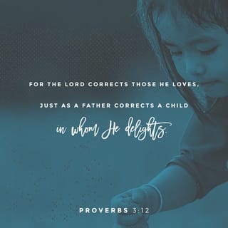Proverbs 3:12 - For the Father’s discipline comes only
from his passionate love and pleasure for you.
Even when it seems like his correction is harsh,
it’s still better than any father on earth gives to his child.