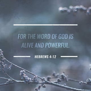 Hebrews 4:11-12 - Let us, therefore, make every effort to enter that rest, so that no one will perish by following their example of disobedience.
For the word of God is alive and active. Sharper than any double-edged sword, it penetrates even to dividing soul and spirit, joints and marrow; it judges the thoughts and attitudes of the heart.