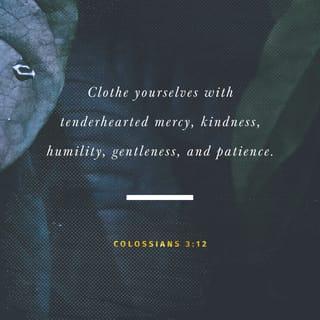 Colossians 3:12 - So, as those who have been chosen of God, holy and beloved, put on a heart of compassion, kindness, humility, gentleness and patience
