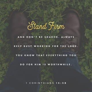 1 Corinthians 15:58 - My dear friends, stand firm and don't be shaken. Always keep busy working for the Lord. You know that everything you do for him is worthwhile.