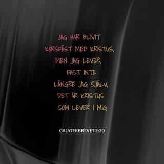 Galaterbrevet 2:20 B2000