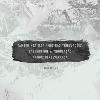 Romanos 5:3 - Também nos alegramos ao enfrentar dificuldades e provações, pois sabemos que contribuem para desenvolvermos perseverança