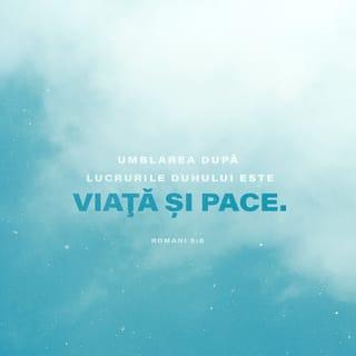 Romani 8:6 VDC