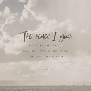 John 14:27 - “Peace is what I leave with you; it is my own peace that I give you. I do not give it as the world does. Do not be worried and upset; do not be afraid.
