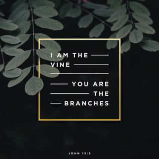 John 15:5 - “I am the vine, you are the branches. He who abides in Me, and I in him, bears much fruit; for without Me you can do nothing.