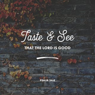 Psalms 34:8 - Taste and see that the LORD is good.
How happy is the person who takes refuge in him!