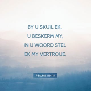 PSALMS 119:114 - By U skuil ek, U beskerm my,
in u woord stel ek my vertroue.