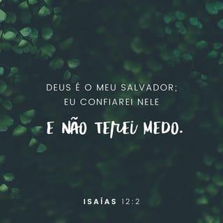 Isaías 12:2 - Deus é o meu Salvador;
eu confiarei nele e não terei medo.
Pois o SENHOR me dá força e poder,
ele é o meu Salvador.