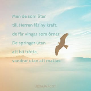 Jesaja 40:31 - men de som litar till Herren får ny kraft,
de får vingar som örnar.
De springer utan att bli trötta,
vandrar utan att mattas.