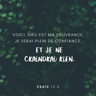 Esaïe 12:2 - Oui, Dieu est mon Sauveur,
je me confie en lui ╵et je n’ai plus de crainte,
car l’Eternel, ╵l’Eternel est ma force, ╵il est le sujet de mes chants,
il m’a sauvé.