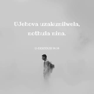 U-Eksodusi 14:14 ZUL59