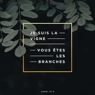 Jean 15:5 PDV2017