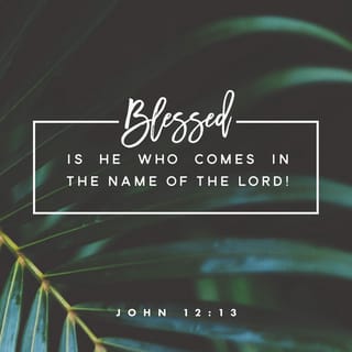 John 12:13-16 - They took palm branches and went out to meet him, shouting,
“Hosanna!”

“Blessed is he who comes in the name of the Lord!”

“Blessed is the king of Israel!”
Jesus found a young donkey and sat on it, as it is written:
“Do not be afraid, Daughter Zion;
see, your king is coming,
seated on a donkey’s colt.”
At first his disciples did not understand all this. Only after Jesus was glorified did they realize that these things had been written about him and that these things had been done to him.