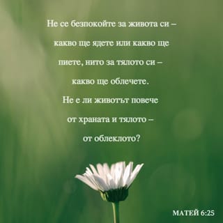 Матей 6:25 BG1940