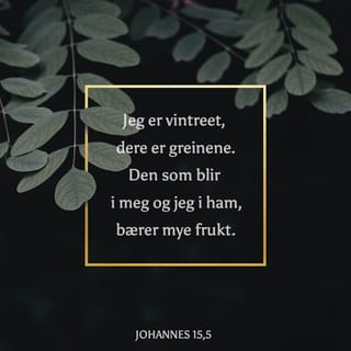 Johannes 15:5 - Jeg er vintreet, dere er greinene. Den som blir i meg, og jeg i ham, han bærer mye frukt. For uten meg kan dere intet gjøre.