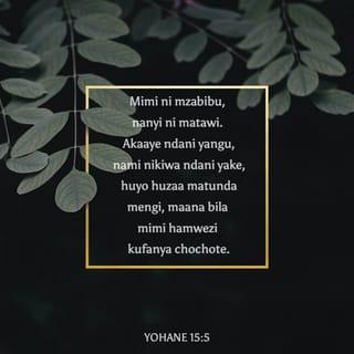 Yn 15:5 - Mimi ni mzabibu; ninyi ni matawi, akaaye ndani yangu nami ndani yake, huyo huzaa sana; maana pasipo mimi ninyi hamwezi kufanya neno lo lote.