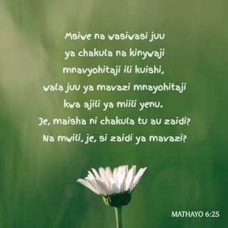 Mathayo 6:25 BHN