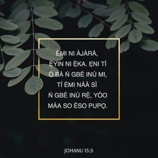Joh 15:5 YBCV