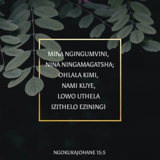 NgokukaJohane 15:5 - “Mina ngingumvini, nina ningamagatsha; ohlala kimi, nami kuye, lowo uthela izithelo eziningi; ngokuba ngaphandle kwami ningenze lutho.