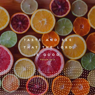 Psalms 34:8-9 - Taste and see that the LORD is good;
blessed is the one who takes refuge in him.
Fear the LORD, you his holy people,
for those who fear him lack nothing.