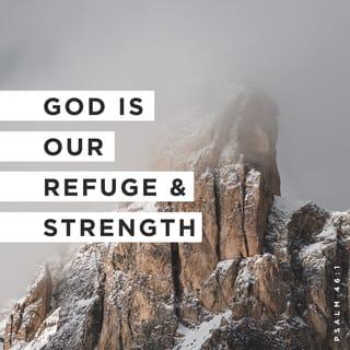 Psalms 46:1 - God, you’re such a safe and powerful place to find refuge!
You’re a proven help in time of trouble—
more than enough and always available whenever I need you.