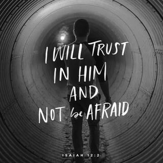 Isaiah 12:2 - “Yes, indeed—God is my salvation.
I trust, I won’t be afraid.
GOD—yes GOD!—is my strength and song,
best of all, my salvation!”