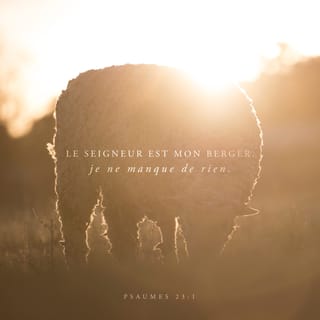 Psaume 23:1 - L'Éternel est mon berger: je ne manquerai de rien.