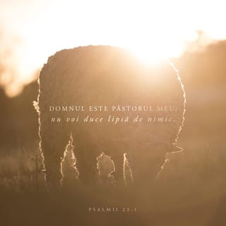 Psalmii 23:1 - Iahve este păstorul meu: nu îmi va lipsi nimic (din tot ce am nevoie).