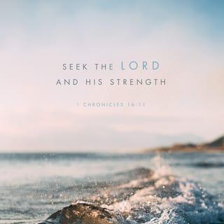 1 Chronicles 16:11-12 - Seek the LORD and his strength;
seek his presence continually!
Remember the wondrous works that he has done,
his miracles and the judgments he uttered