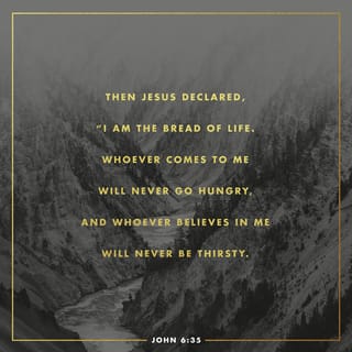 John 6:35 - Jesus said to them, “I am the bread of life; whoever comes to me shall not hunger, and whoever believes in me shall never thirst.