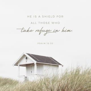 Psalms 18:30 - As for God, his way is perfect:
The word of Jehovah is tried;
He is a shield unto all them that take refuge in him.