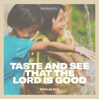 Psalms 34:8 - Taste and see that the LORD is good.
How happy is the person who takes refuge in him!