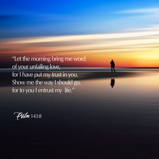 Psalms 143:8-10 - Cause me to hear Your lovingkindness in the morning,
For in You do I trust;
Cause me to know the way in which I should walk,
For I lift up my soul to You.
Deliver me, O LORD, from my enemies;
In You I take shelter.
Teach me to do Your will,
For You are my God;
Your Spirit is good.
Lead me in the land of uprightness.