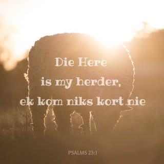 Psalms 23:1 - 'n Psalm. Van Dawid.
Die HERE is my herder;
ek ly nie gebrek nie.