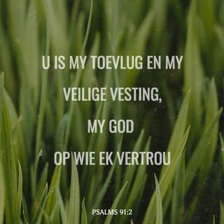 PSALMS 91:2 - Ek sal vir die HERE sê:
“U is my toevlug
en my vesting,
my God op wie ek vertrou.”