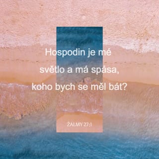 Žalmy 27:1 - Davidův žalm.
Hospodin je mé světlo i má spása, koho bych se bál? Hospodin je záštita mého života, koho bych se lekal?