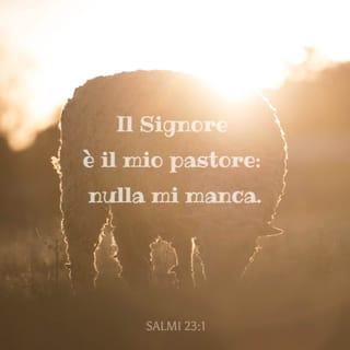 Salmi 23:1-2 - Il Signore è il mio pastore e nulla mi manca.
Su prati d'erba fresca mi fa riposare;
mi conduce ad acque tranquille