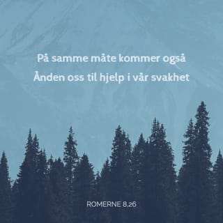 Romerne 8:26 NB