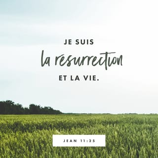 Jean 11:25-26 - Jésus lui dit: «C’est moi qui suis la résurrection et la vie. Celui qui croit en moi vivra, même s'il meurt; et toute personne qui vit et croit en moi ne mourra jamais. Crois-tu cela?»