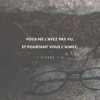 1 Pierre 1:8 PDV2017