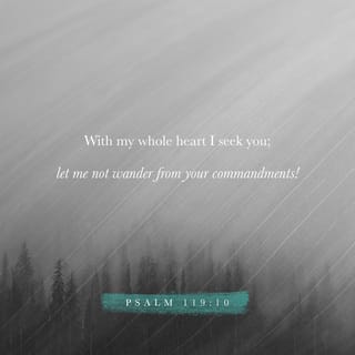 Psalms 119:10 - I worship you
with all my heart.
Don't let me walk away
from your commands.