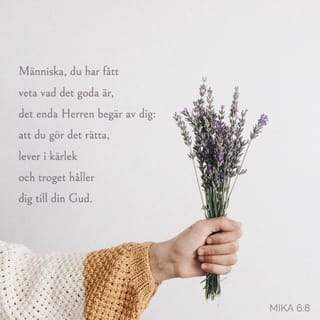 Mika 6:8 B2000