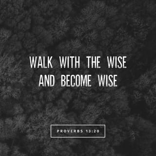 Proverbs 13:20 - One who walks with wise men grows wise,
but a companion of fools suffers harm.
