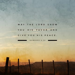 Numbers 6:26 - the LORD lift up his countenance upon you and give you peace.