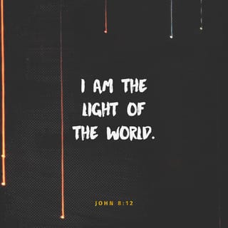 John 8:12 - Again, therefore, Jesus spoke to them, saying, “I am the light of the world. He who follows me will not walk in the darkness, but will have the light of life.”