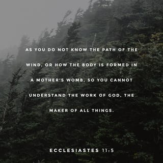 Ecclesiastes 11:5 - God made everything, and you can no more understand what he does than you understand how new life begins in the womb of a pregnant woman.