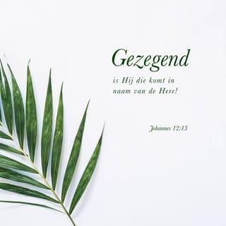 Het Evangelie van Johannes 12:13 - Namen de takken van palmbomen, en gingen uit Hem tegemoet, en riepen: Hosanna! Gezegend is Hij, Die komt in den Naam des Heeren, Hij, Die is de Koning Israëls!