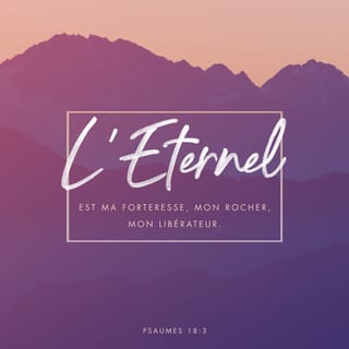 Psaumes 18:2 - Je t’aime, Eternel, ma force