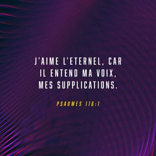 Psaumes 116:1-2 - J’aime l’Eternel, car il entend ma voix, mes supplications. Oui, il a penché son oreille vers moi et je ferai appel à lui toute ma vie.